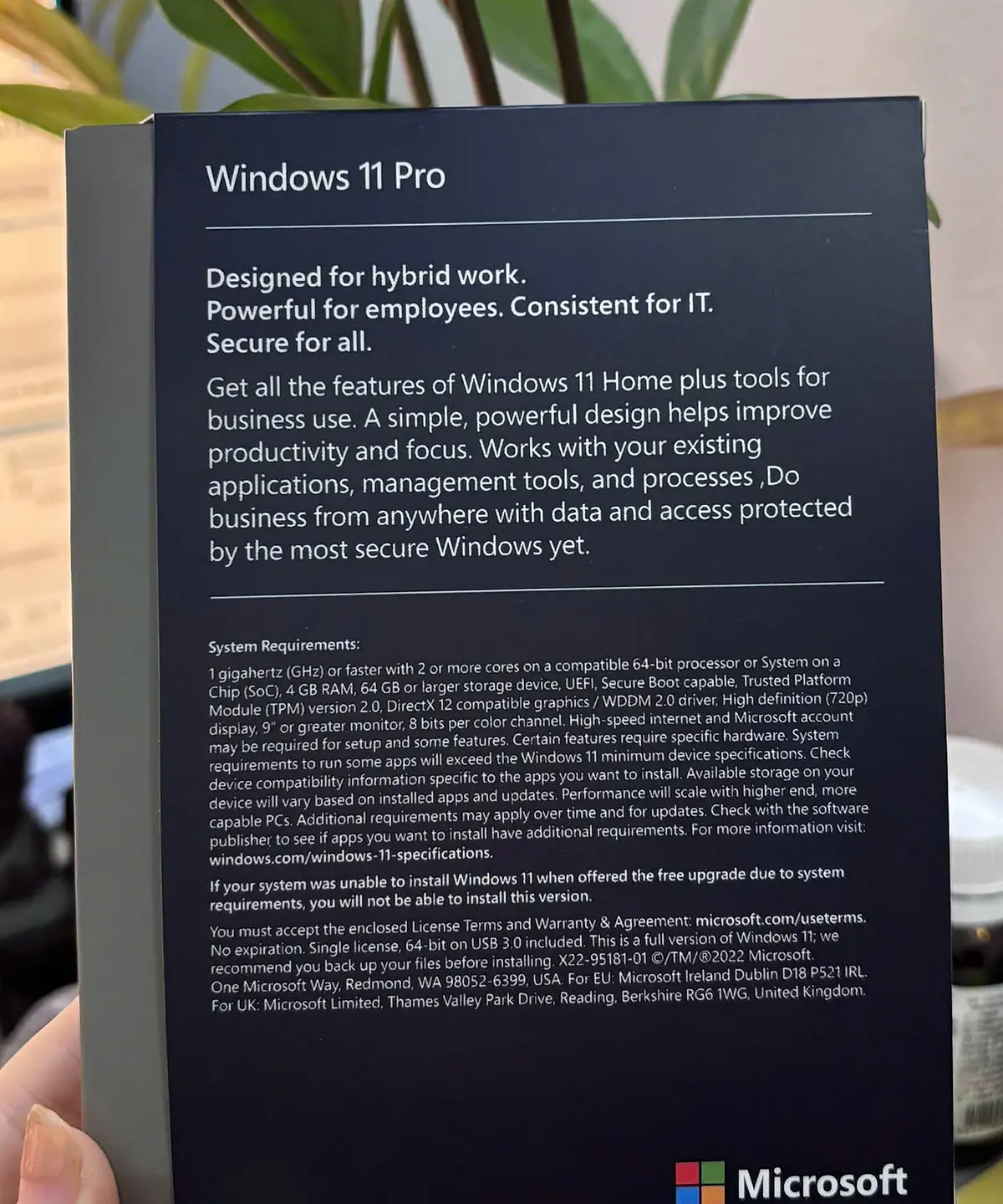 Mặt sau hộp Windows 11 Pro in cấu hình yêu cầu và điều khoản license của Microsoft